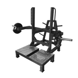 Приседание с поясом "Колодец" BRONZE GYM BGR-803