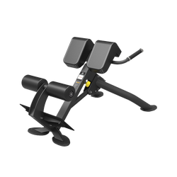 Гиперэкстензия под углом 45 градусов Spirit SP-4220