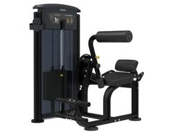 Тренажер разгибание спины Aerofit IT9532