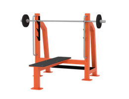 Скамья для жима 20 кг Iron King S201