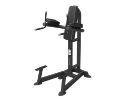 Пресс/брусья Spirit SP-4215