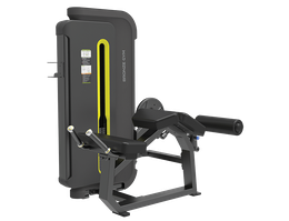 Сгибание ног лежа BRONZE GYM BW-3001