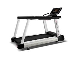 Беговая дорожка AMMITY PRO ATM 4500