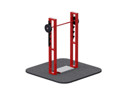 Приседания со штангой TZ020-050