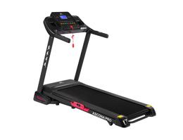 Беговая дорожка DFC ASCONA Pro T640